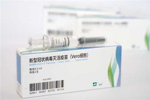 国药集团最新信息速递，全面概览国药动态