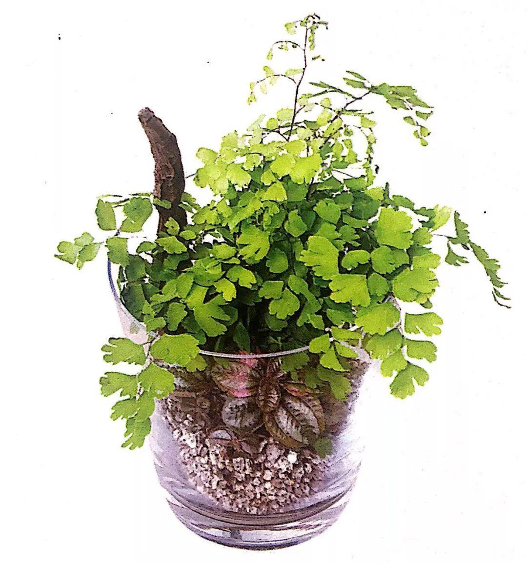 二重5最新消息揭秘，细节重磅来袭！
